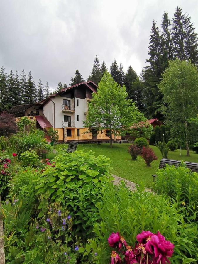 Pensiunea Lu' Movila Durău Exteriér fotografie