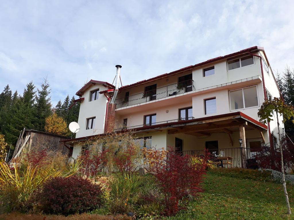 Pensiunea Lu' Movila Durău Exteriér fotografie